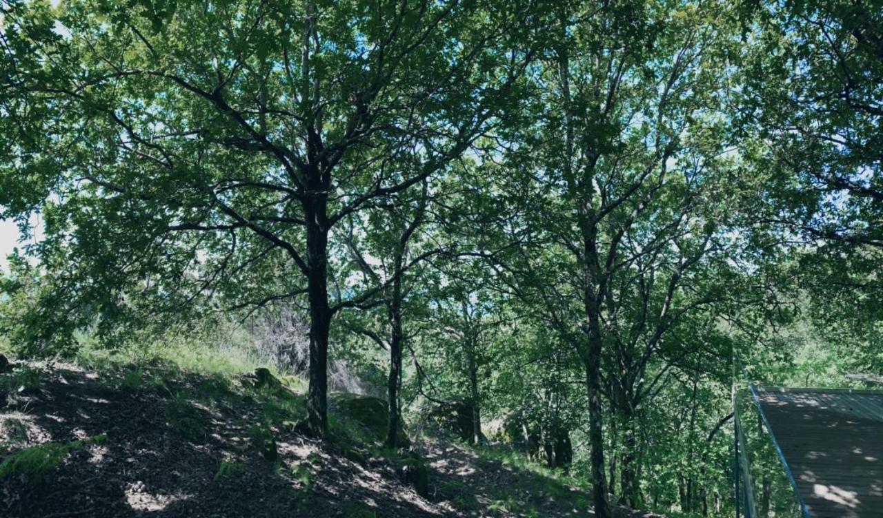 Oak Nature Vieira do Minho Exterior foto